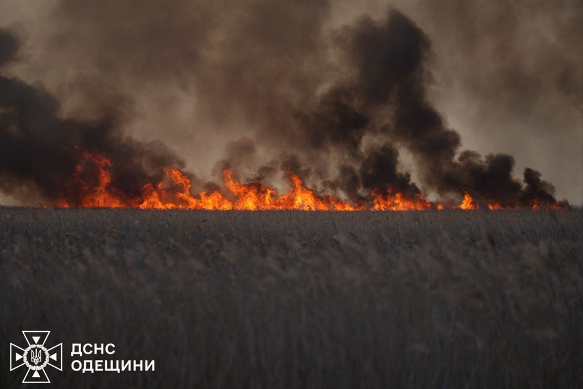 Новини України - На Одещині ліквідовують масштабну пожежу