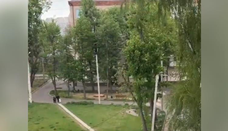 Новини України - У Харкові та Сумах пішов сніг