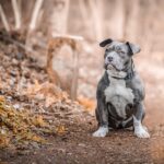 Гороскоп для всіх знаків зодіаку на 20 листопада 2025 року