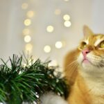 Гороскоп для всіх знаків зодіаку на 28 листопада 2025