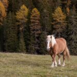 Гороскоп для всіх знаків зодіаку на 6 листопада 2025 року