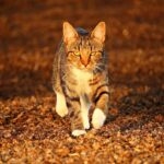 Гороскоп для всіх знаків зодіаку на 7 листопада 2025 року