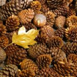 Гороскоп для всіх знаків зодіаку на вихідні 22-23 листопада 2025 року