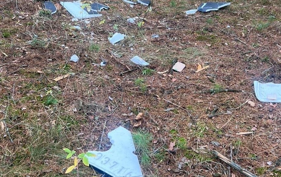 Новини України - У лісі на Чернігівщині здетонував дрон, поранені двоє підлітків