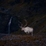 Гороскоп для всіх знаків зодіаку на 17 грудня 2025 року