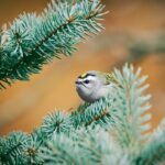 Гороскоп для всіх знаків зодіаку на 4 грудня 2025 року