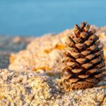 Гороскоп для всіх знаків зодіаку на 13 січня 2026 року