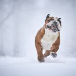 Гороскоп для всіх знаків зодіаку на 15 січня 2026 року