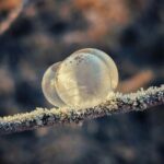 Гороскоп для всіх знаків зодіаку на 20 січня 2026 року