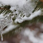 Гороскоп для всіх знаків зодіаку на 21 січня 2026 року