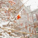 НБУ “спалив” понад $1 млрд для підтримки гривні