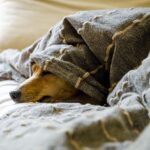 Гороскоп для всіх знаків зодіаку на 18 лютого 2026 року