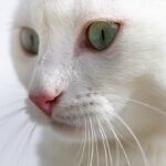 Гороскоп для всіх знаків зодіаку на 19 лютого 2026 року