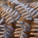 Гороскоп для всіх знаків зодіаку на 20 лютого 2026 року