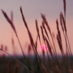 Гороскоп для всіх знаків зодіаку на 24 лютого 2026 року