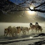 Гороскоп для всіх знаків зодіаку на 27 лютого 2026 року