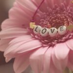 Гороскоп для всіх знаків зодіаку на вихідні 14-15 лютого 2026 року