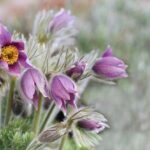 Гороскоп для всіх знаків зодіаку на вихідні 28 лютого &ndash; 1 березня 2026 року