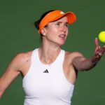 Світоліна в півфіналі турніру в Дубаї