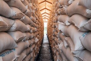 ООН попереджає про ризик глобального голоду через війну в Ірані