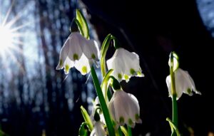 Прогріє до +15&deg;: якою буде погода на початку тижня