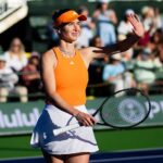 Світоліна повторила успіх на турнірі в Індіан-Веллсі