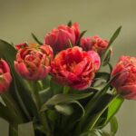 Свята 10 березня 2026: які заборони та події