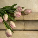 Свята 13 березня 2026: факти, традиції, іменини