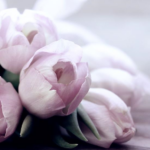 Свята 16 березня 2026: факти, традиції, прикмети