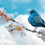 Свята 18 березня 2026: події, факти, іменини