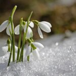 Свята 19 березня 2026 року: факти, події, заборони