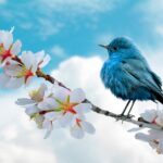 Свята 26 березня 2026: події, традиції, прикмети