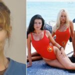 Визволила біглів. Зірку серіалу Рятувальники Малібу заарештували