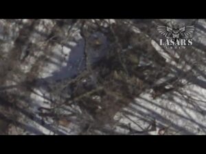 🚁 Дрони заходять у тил: розбили техніку ворога ще в Брянщині