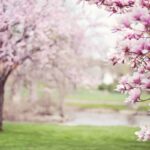 Свята 10 квітня 2026 року: події та іменини