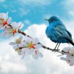 Свята 14 квітня 2026 року: дати, іменини, заборони