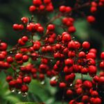 Свята 30 квітня 2026 року: що не можна робити в цей день