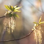 Свята 9 квітня 2026 року: іменини, прикмети