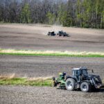 Українські аграрії засіяли 83% площ зернових