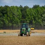 Українські аграрії засіяли 97% площ зернових